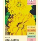 Semente Zinnia Dahliaflora Amarela Gigante Califórnia Isla