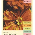 Semente Zinnia Dahliaflora Laranja Gigante Califórnia Isla