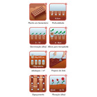 Semente Zinnia Gigante da Califórnia Sortida Isla Semente