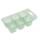 Sementeira 18 Células Isla Sementes