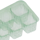 Sementeira 18 Células Isla Sementes