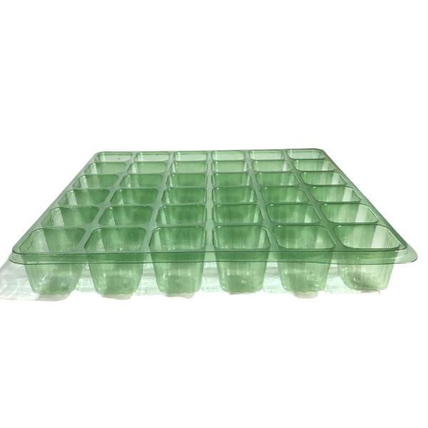 Sementeira Bandeja Com 36 Células Para Hortaliças - Isla