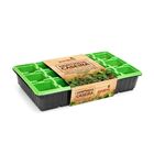 Sementeira Hortinha Caseira 15 Células Nutriplan