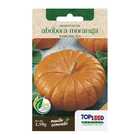 Sementes Abóbora Moranga Topseed
