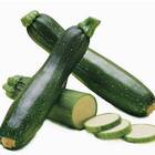 Sementes Abobrinha Zucchini Topseed