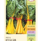 Sementes Acelga Amarela (gaia) Isla