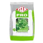 Sementes Alface Crespa Grand Rapids Tbr (50g) Isla