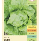 Sementes Alface Delicia Americana  Isla