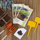 Sementes Alface MicroVerde