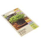 Sementes Alface MicroVerde
