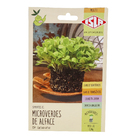 Sementes Alface MicroVerde