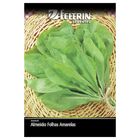 Sementes Almeirão Folhas Amarelas [radiche] Feltrin