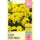 Sementes Alyssum Flor De Mel Amarela  Isla