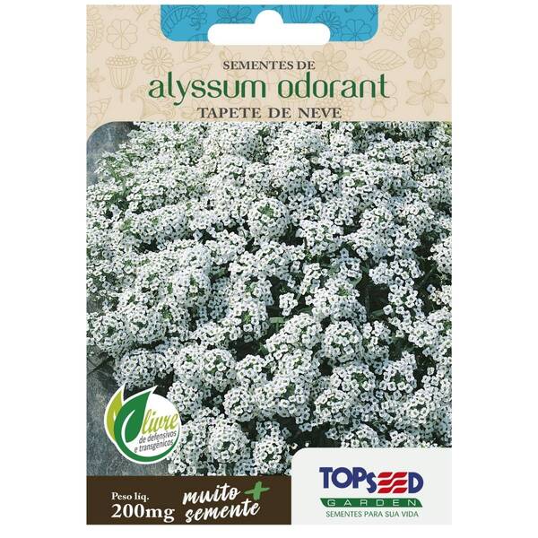 Sementes Alyssum Tapete De Neve (odorant) Topseed