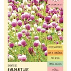 Sementes Amaranthus (gonfrena) Globular  Isla