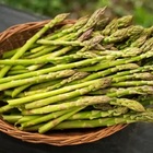 Sementes Aspargo Olívio Super (1g) Isla