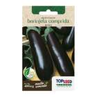 Sementes Berinjela Comprida Roxa Topseed