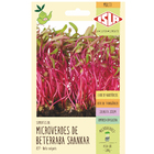 Sementes Beterraba Shankar MicroVerdes