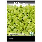 Sementes Brotos Microverdes De Almeirão Feltrin