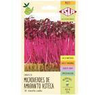 Sementes Brotos Microverdes De Amaranto Asteca Isla