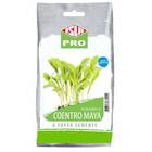 Sementes Brotos Microverdes De Coentro Maya (100g) Isla
