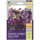 Sementes Brotos Microverdes De Rabanete Sarvesh (roxo) Isla