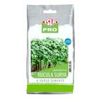 Sementes Brotos Microverdes De Rúcula Surya (100g) Isla