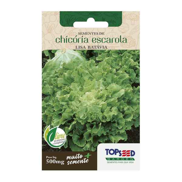 Sementes Chicória Lisa (escarola) Topseed | Leroy Merlin
