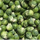 Sementes Couve-de-bruxelas Topseed