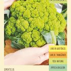 Sementes Couve-flor Sicília  Isla