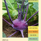 Sementes Couve-rabano Roxa  Isla