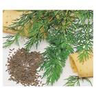 Sementes De  Cominho Verdadeiro Feltrin