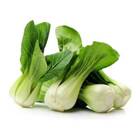 Sementes De  Pak Choi Choko Feltrin