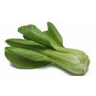 Sementes De  Pak Choi Choko Feltrin