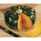 Sementes De Abóbora Bahiana Tropical Pcte C/ 250 Gramas