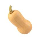 Sementes De Abóbora Butternut Isla