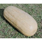 Sementes De Abóbora Caravelle Pcte C/ 100 Gramas