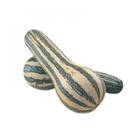 Sementes De Abóbora Goianinha Isla