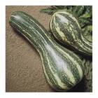 Sementes De Abóbora Goianinha Isla