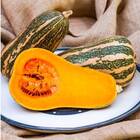 Sementes De Abóbora Hibrida Bárbara (100 Sementes) Isla