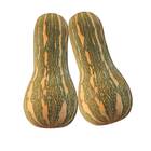 Sementes De Abóbora Hibrida Bárbara Super Isla