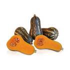 Sementes De Abóbora Hibrida Bárbara Super Isla