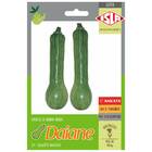 Sementes De Abobora Híbrida Daiane Super Isla