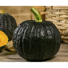 Sementes De Abóbora Híbrida Furusato F1 Pcte C/ 300 Gramas