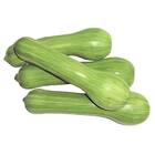 Sementes De Abobora Híbrida Sandy (100 Sementes) Isla