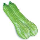 Sementes De Abobora Híbrida Sandy Super Isla