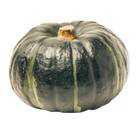 Sementes De Abóbora Moranga Coroa Topseed