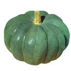 Sementes De Abóbora Moranga Coroa Topseed