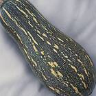 Sementes De Abóbora Paulista (mini) Topseed