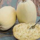 Sementes De Abobrinha Bavette Espaguete Isla